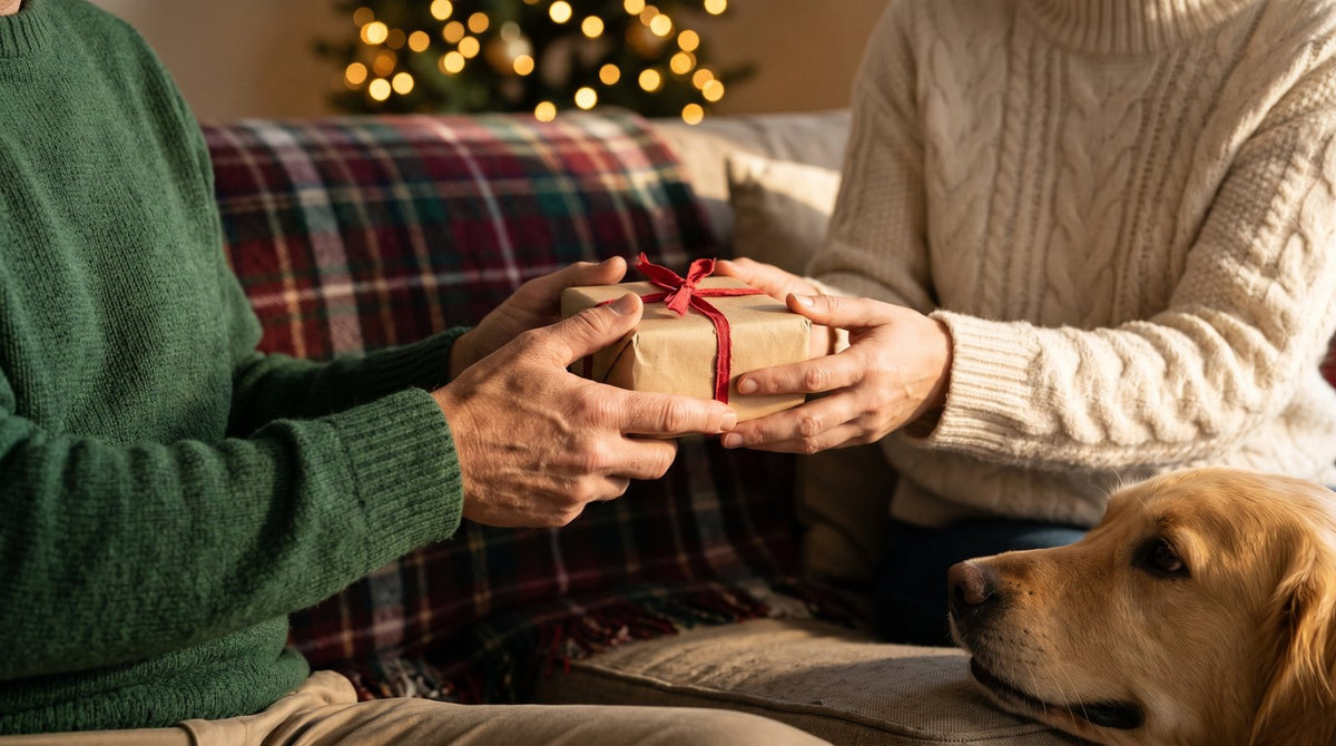 Couple exchanging a small wrapped Christmas gift on a sofa while their golden retriever watches