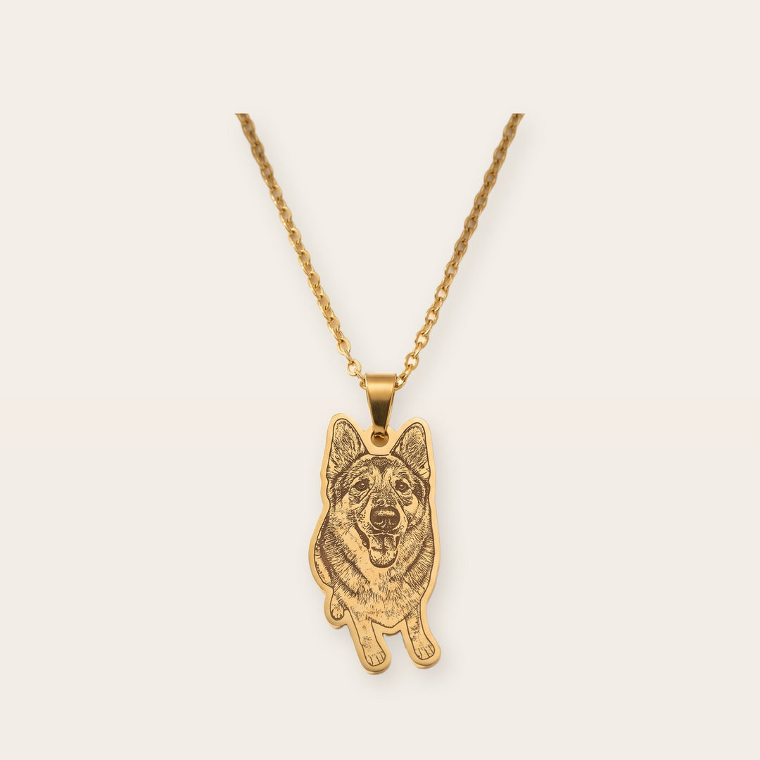 Custom pet photo necklace, gold tone, on a plain background