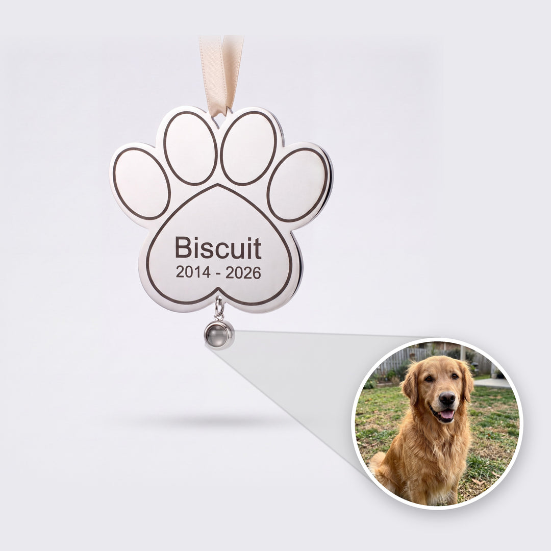 Engraved paw ornament with the pet photo sealed inside the stone shown in a circle