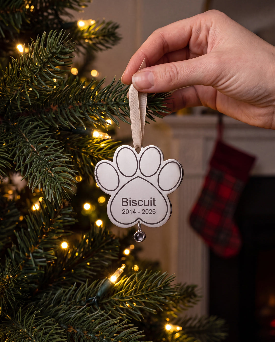 Hand hanging the engraved paw ornament on a Christmas tree by the fireplace