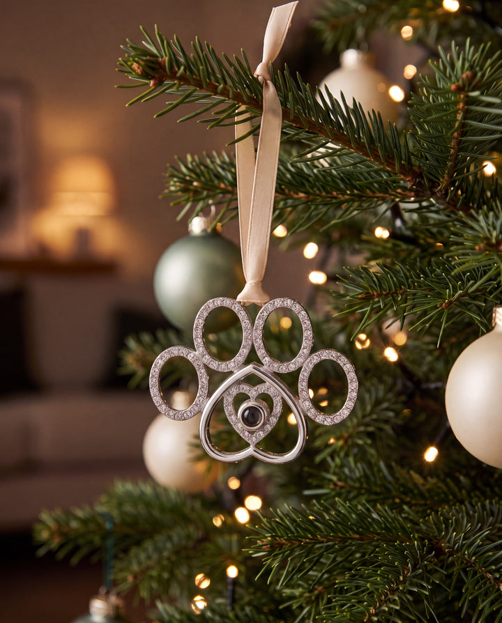 Crystal paw photo ornament hanging on a Christmas tree branch