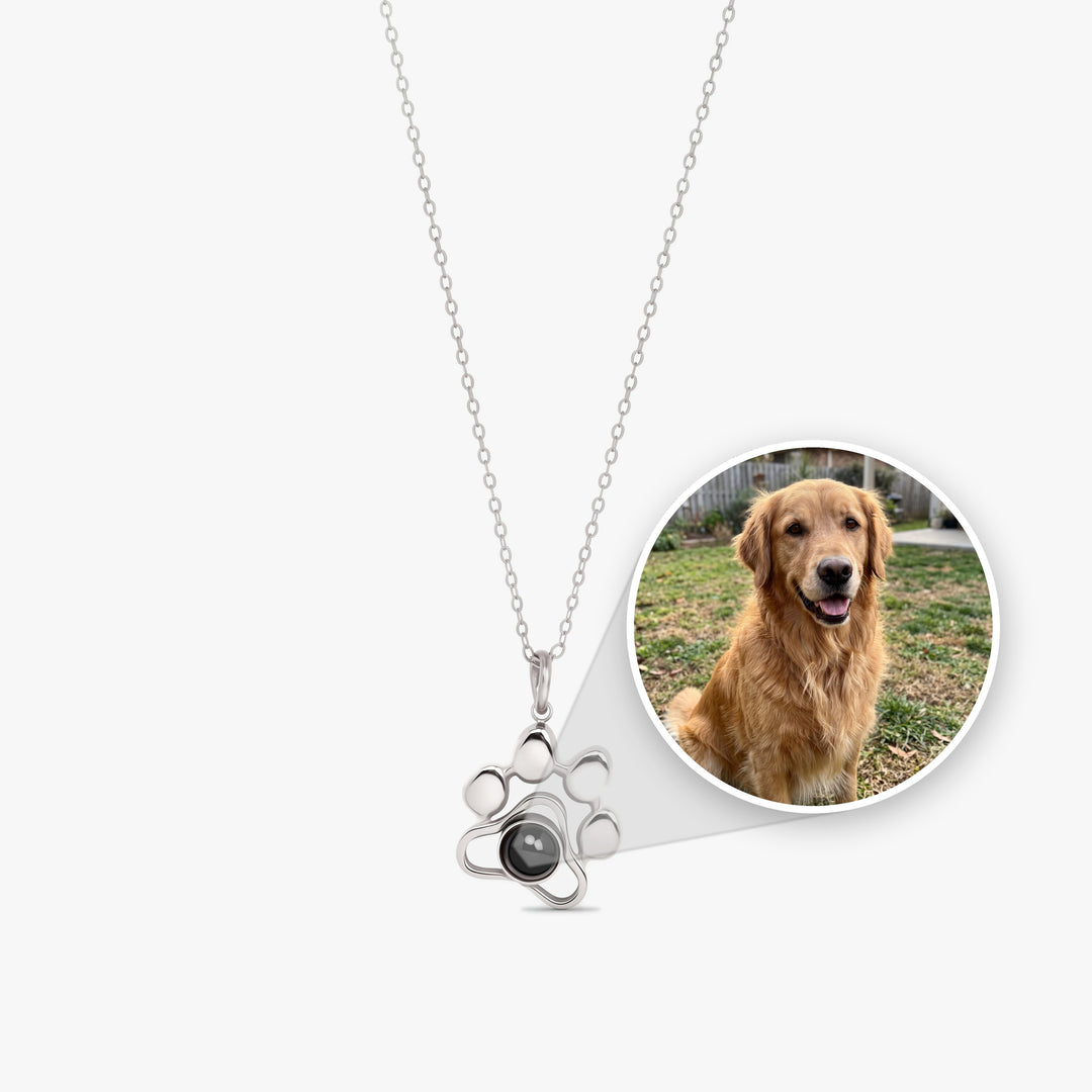 Paw projection necklace with the pet photo sealed inside the stone shown in a circle