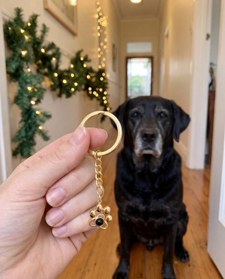 Gold paw projection keychain held up in front of a senior black Labrador