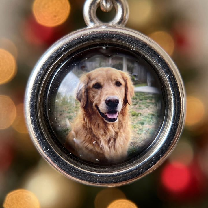 Close-up view into the photo stone showing a dog photo inside
