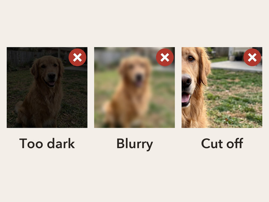 Three photos to avoid: too dark, blurry, and face cut off